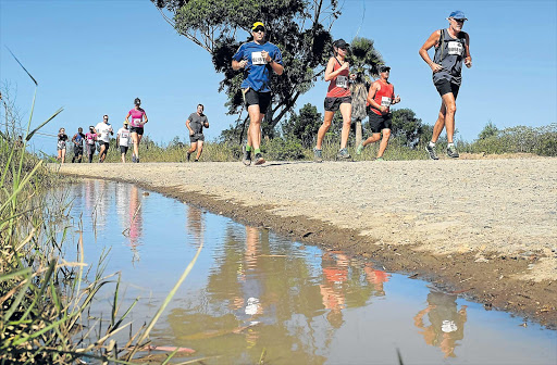 GREAT REFLECTIONS: Runners battle the heat at a previous 15km Tomato Trot race which again takes place this coming weekend Picture: ALAN EASON