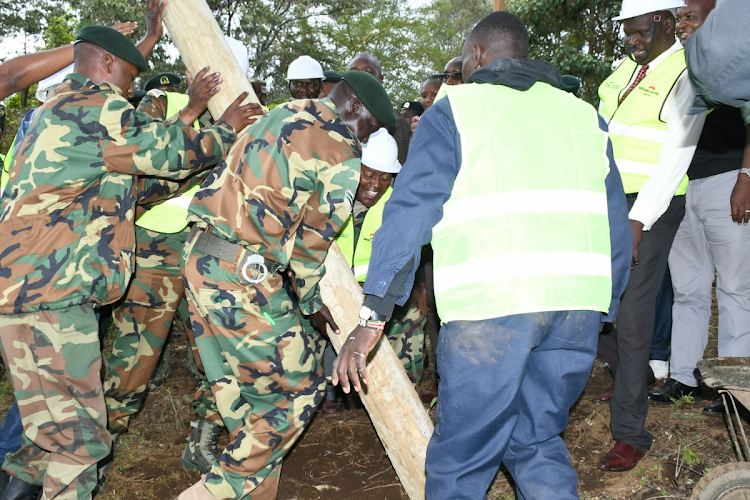 Kenya Forest Service rangers erect a post during the launch of a Sh105 million fencing project at Menengai Forest in Nakuru on April 12, 2024.
