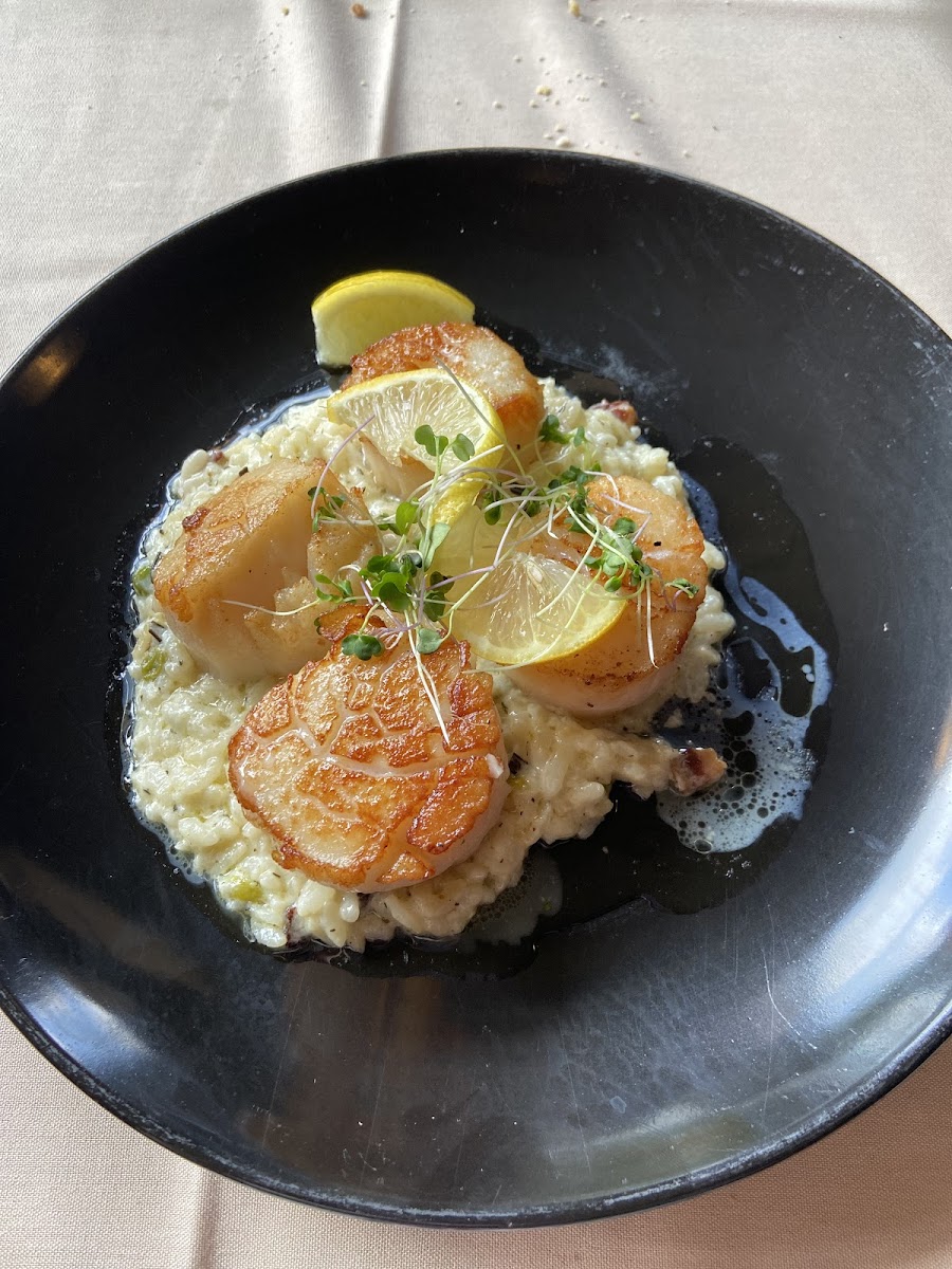 Scallops with Sweet Pea Risotto