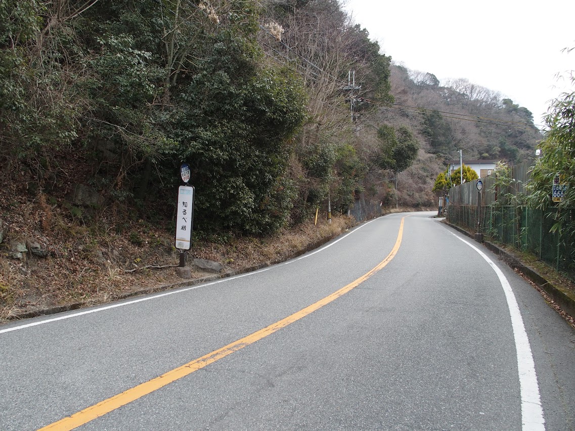 写真dimg3753