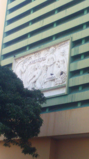 Mural Instituto De Recursos Hidráulicos