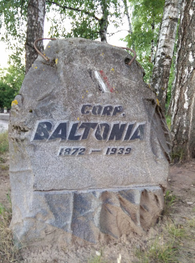 Corp. Baltonia