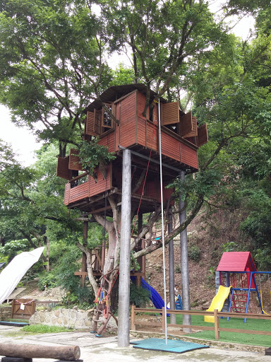 Tree House