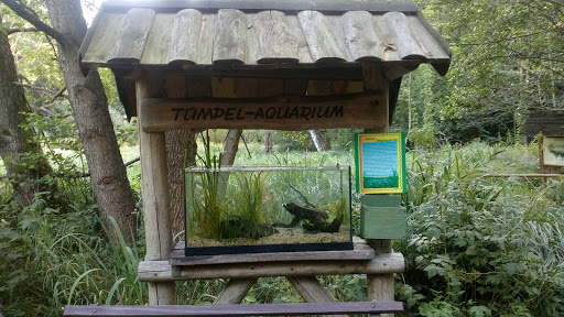 Tümpel-Aquarium
