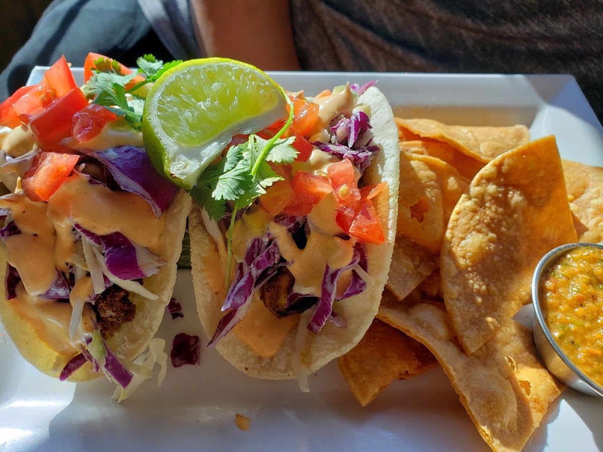 Beer battered avocado tacos