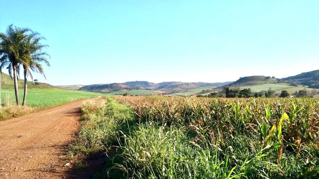 Fazendas à venda Rodovia