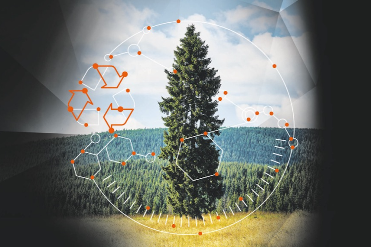 4IR tech can increase the effectiveness of recycling and reforestation to help alleviate climate change. Picture: SUPPLIED/UNIVERSITY OF JOHANNESBURG