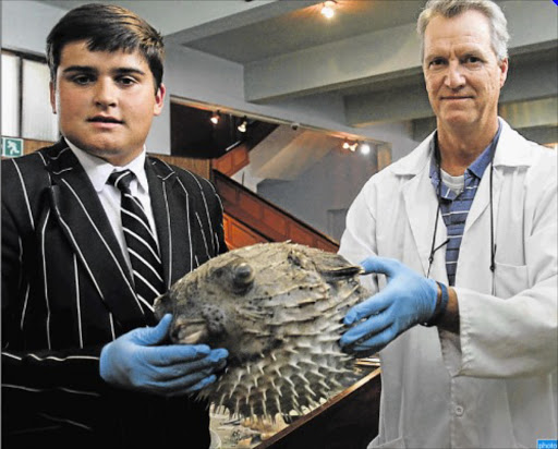 FISHY FIND: Pupil Callum Kretzmann, 15, hands over his find of a 55cm porcupine fish to East London Museum’s principal scientist Kevin Cole Picture: SINO MAJANGAZA