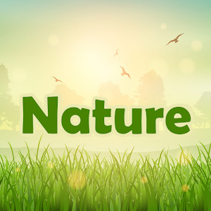 Download Memory Nature For PC Windows and Mac