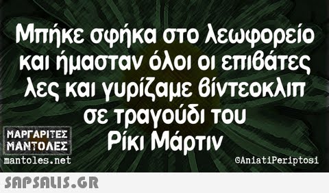 Μπήκε σ ρήκα στο λεωφορείο και ήμασταν όλοι οι επιβάτες λες και γυρίζαμε βίντεοκλιπ σε-Τραγούδι του Ρίκι Μάρτιν ΜΑΡΓΑΡΙΤΕΣ ΜΑΝΤΟΛΕΣ manto1 s et mantoles.net CAniatiPeriptosi