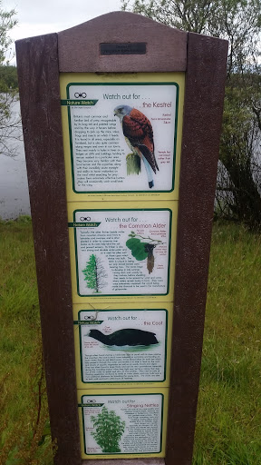 Wildlife Information Board 