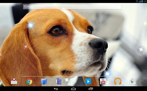 How to download Beagle Puppy 4K Live Wallpaper lastet apk for bluestacks