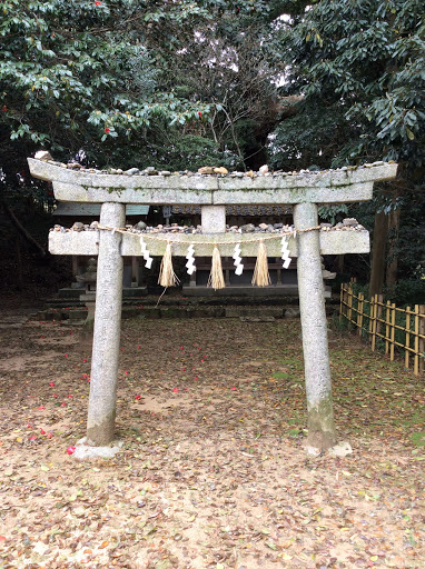 住吉神社　大楠の鳥居