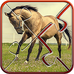 Horses Jigsaw Puzzle Game Apk