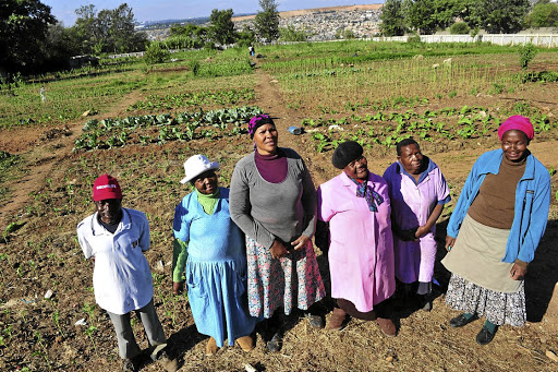 Members of the Modimo O Teng Cooperative in Marlboro Gardens make a surplus of produce after feeding their families. / Veli Nhlapo