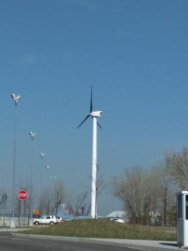 Working Brooklyn Windmill