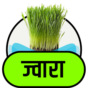Download ज्वारे के फायदे For PC Windows and Mac