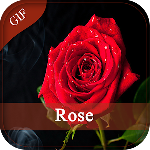 Download Rose GIF and Images For PC Windows and Mac