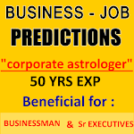 Business & Career Astrology Apk