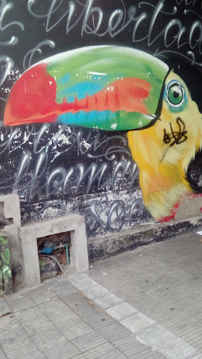 Tucan Graffiti