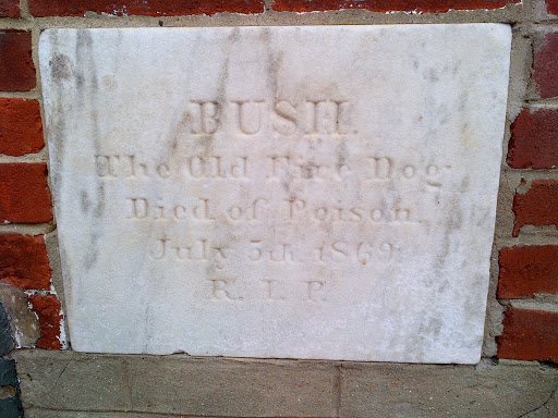 Bush The Old Fire Dog Died of Poison July 5th 1869 R.I.P.   Article about Bush