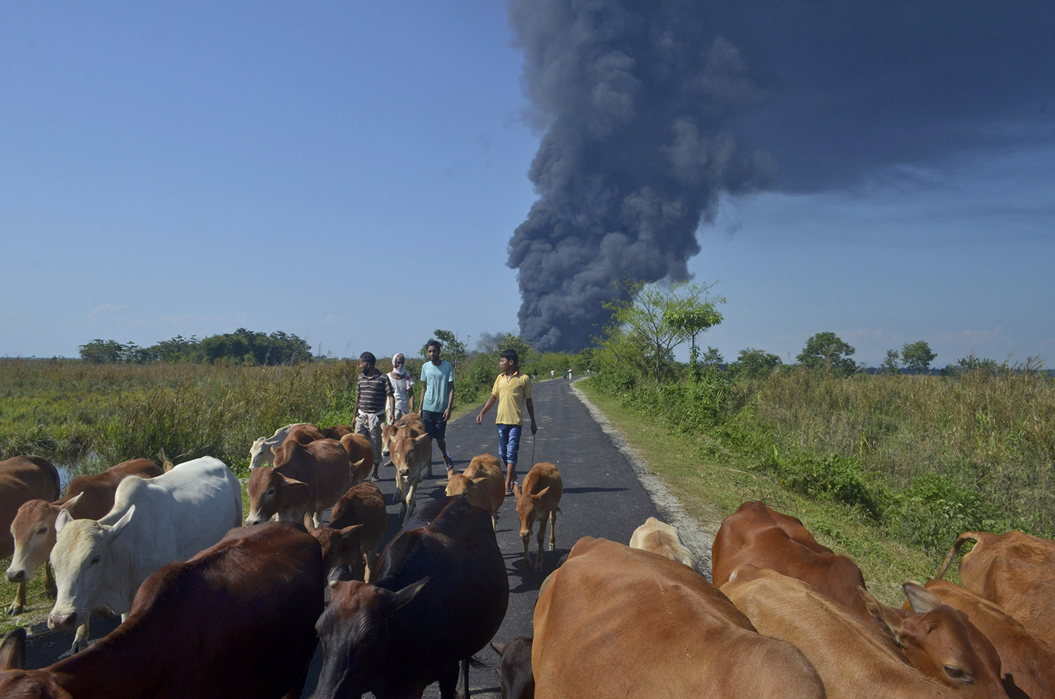 How Assam’s Baghjan gas well blowout impacted lives, livelihoods and the environment