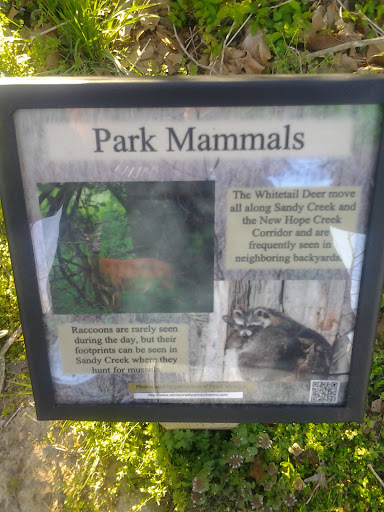Park Mammals 