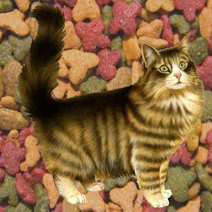 Fatty Cat - The Big Adventure.apk 1.0