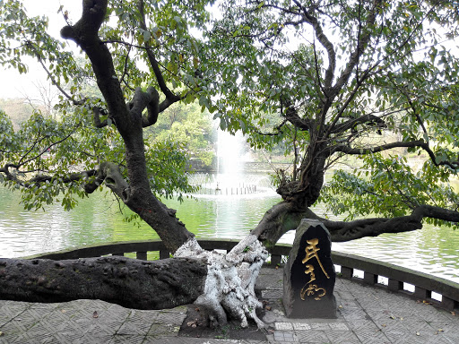 重庆大学民主湖