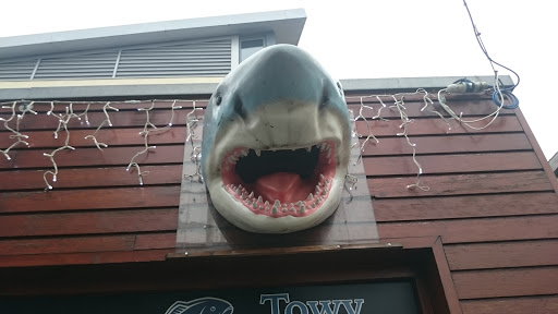 Shark Mouth