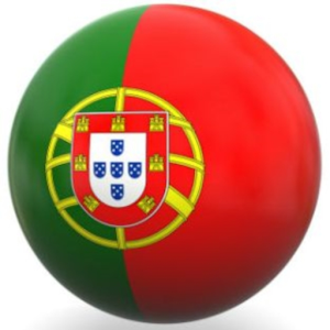 English Portuguese Translator