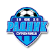 Download FK Radnik Surdulica For PC Windows and Mac 1.0