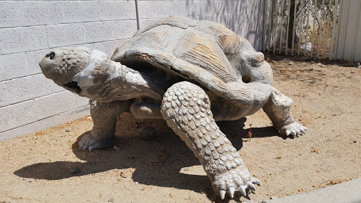 Stone Tortoise