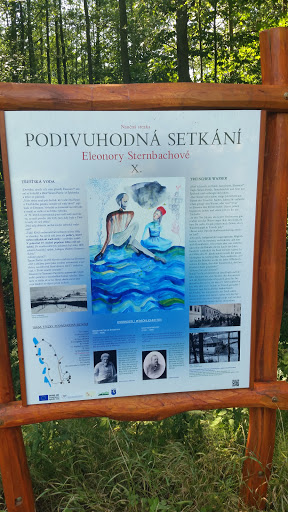 Třešť- Podivuhodná setkání X