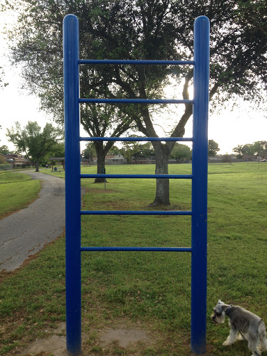 Giant Ladder