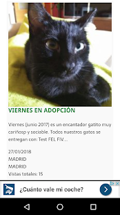 Adopta Mascota Screenshot