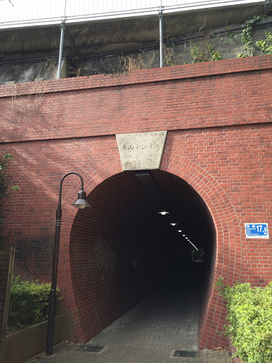 亀山トンネル (奥山線の遺構)