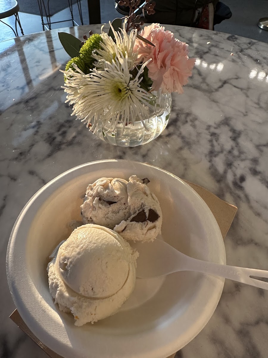 Gluten-Free at Savor Ice Cream