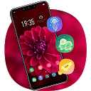 App Download Red Flower Blossom Beautiful theme for RE Install Latest APK downloader