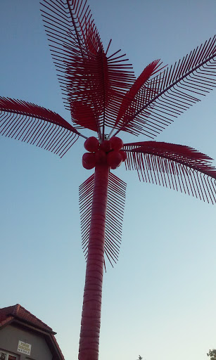 Red Palm 