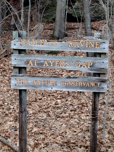 Bailey's Ravine at Ayers Gap
