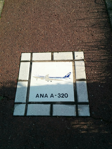 ANA A-320