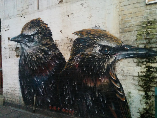 Starlings Mural by Irony + Boe