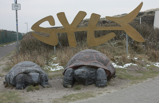 Riesenschildkröten