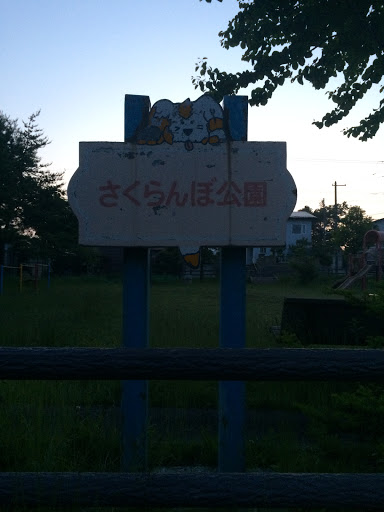 さくらんぼ公園