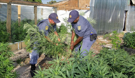 An elderly woman from Willowvale was arrested for possession of dagga