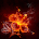 For Xperia Theme Rosefire