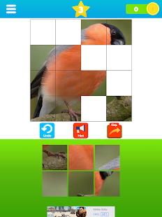 Fit the Pictures - Puzzle game Screenshot