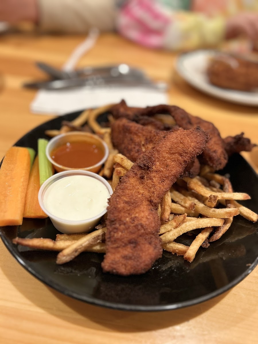 Chicken Tenders & Fries - made fresh IN HOUSE!