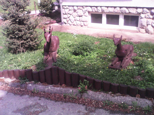 Two Deers